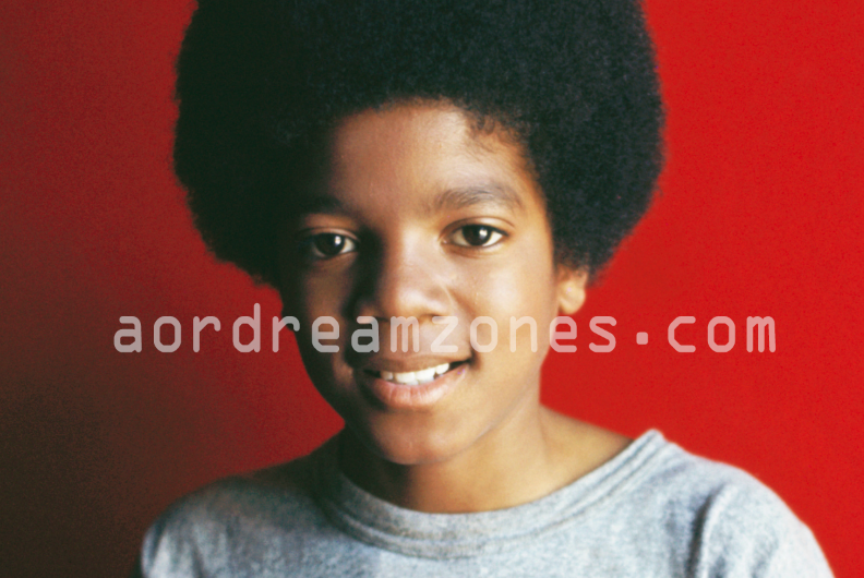 The King of Pop Michael Jackson